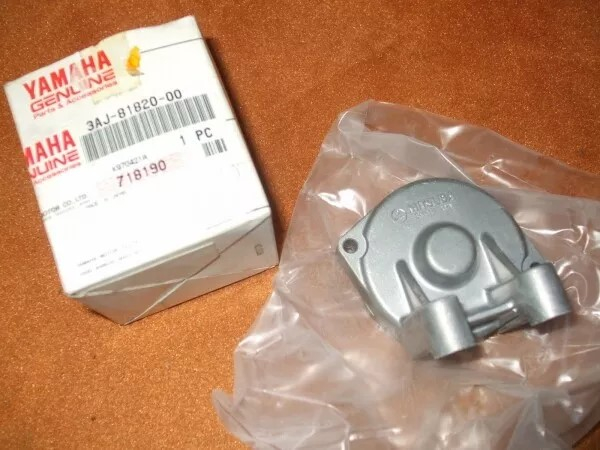 Yamaha Rear Bracket Assy XT600 XT600Z XTZ660 TT600 SZR660  3AJ-81820-00 Original NEU 3AJ-81820-00 Genuine spare part – MG-Tei